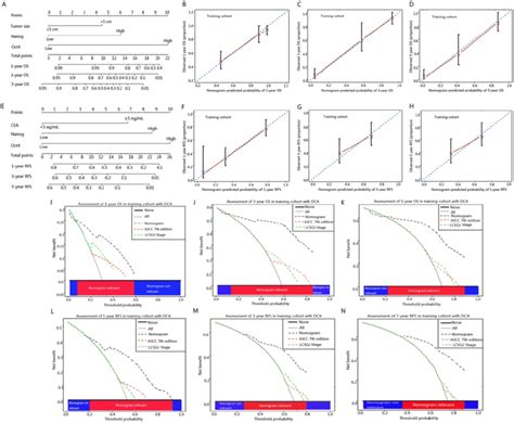 Icc Prognostic Nomograms Calibration Curve And Decision Curve Analysis