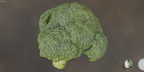 4k Scanned Broccoli 3d Model Cgtrader