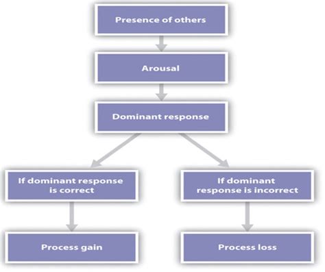 Social Facilitation Inhibition And Group Dynamics Flashcards Quizlet