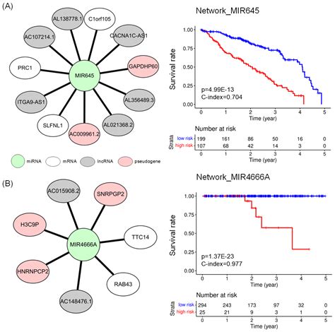 IJMS | Free Full-Text | Finding miRNA–RNA Network Biomarkers for ...