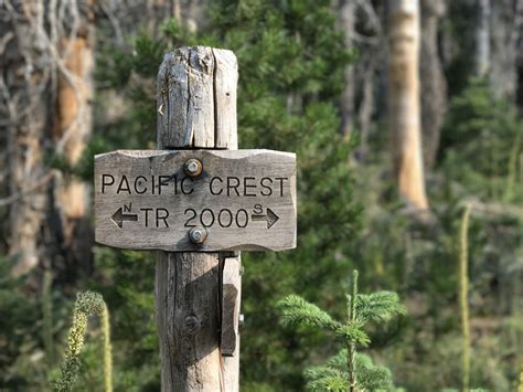 PCT Chapter 2: Full Dis-Fire-Closure - The Trek