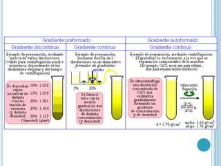 Centrifugaci N Ppt