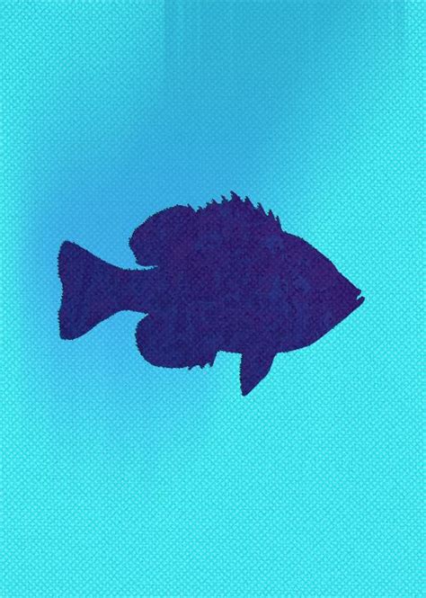 Bluegill #fish #silhouette #bluegill #sunfish #blue | Fish silhouette, Silhouette art, Creative art