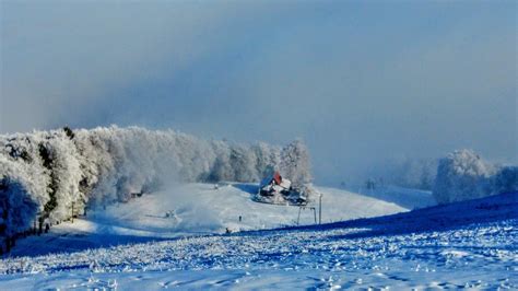 Photos Mariborsko Pohorje: Pictures Mariborsko Pohorje - Motive ...