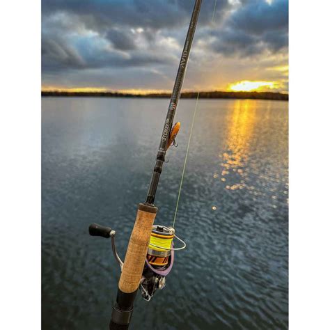 St Croix Avid Series Spinning Rod Sportsmans Warehouse
