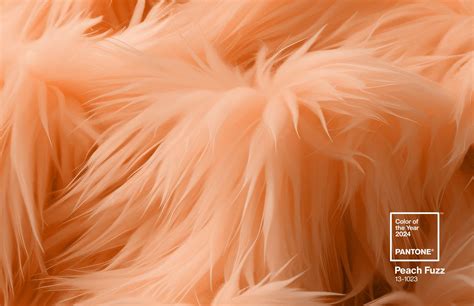 Peach Fuzz Symbolizing Serenity And Warmth In Pantones 2024 Color Of