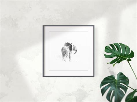 Baby Elephant Treasure Adorable Baby Elephant Sketch Perfect
