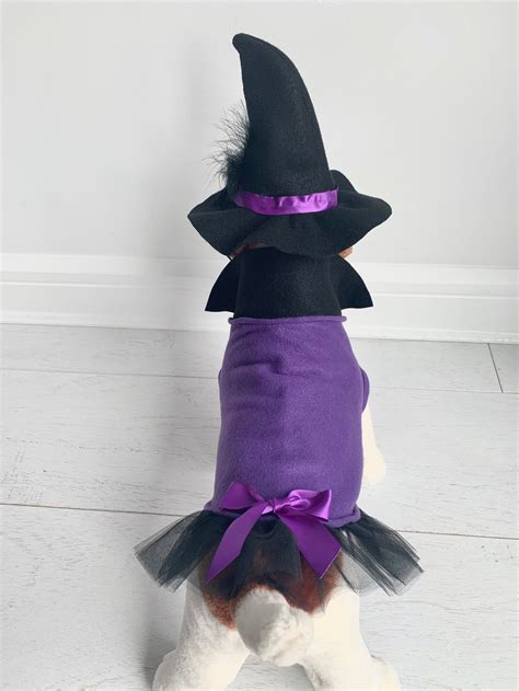 Witch Costume Dog Halloween Costume Dog Witch Costume by | Etsy