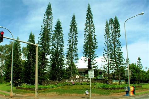 Mililani Funeral Homes, funeral services & flowers in Hawaii