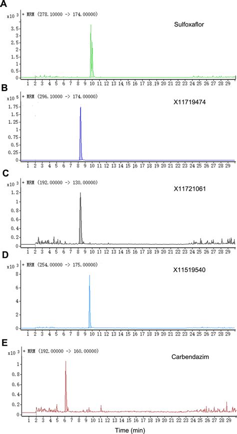 Typical Lcms Ms Multiple Reaction Monitoring Chromatograms Of