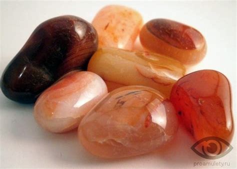 Сердолик