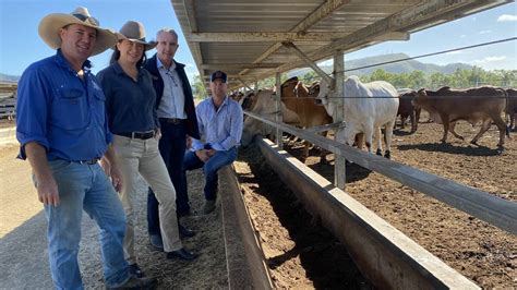 Calls For Live Export Cost Recovery Model Transparency Queensland