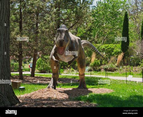 An outdoor Dinosaurs Alive exhibit at Topeka Zoo Conservation Center in ...