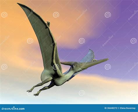 Pteranodon Dinosaur Flying 3D Render Stock Illustration