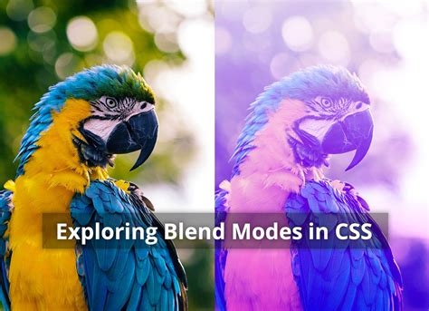 Learn How To Use The Mix Blend Mode And Background Blend Mode