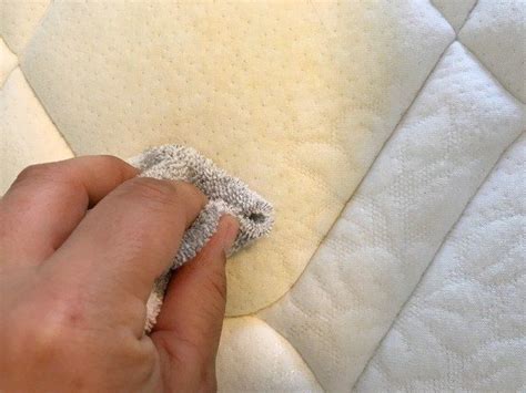 How To Clean Your Mattress In 4 Simple Steps Clean Mattress Stains