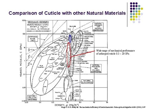 Literature Review Chitin And Chitosan From Nature To