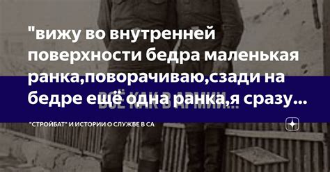 "вижу во внутренней поверхности бедра маленькая ранка,поворачиваю,сзади ...