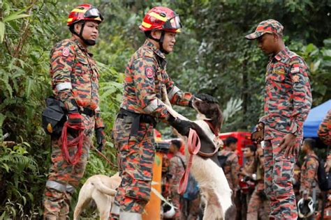 Tim SAR Malaysia Lanjutkan Pencarian 9 Korban Hilang Tanah Longsor