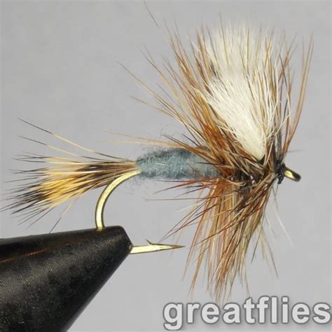 1 Dozen 12 Adams Wulff Great Flies