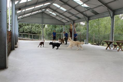 Training Facility Alpha Canine Professional