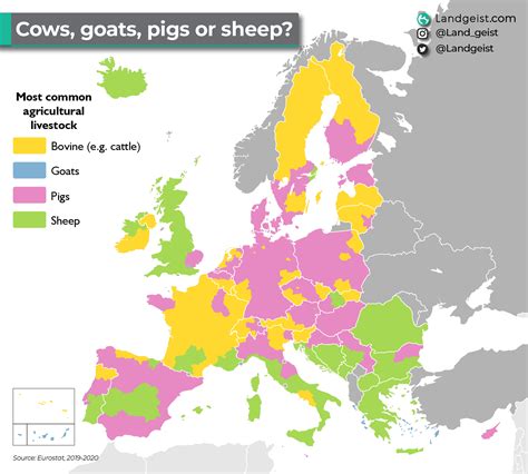 Europes Most Common Livestock Landgeist