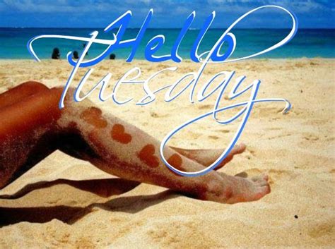 Happy Tuesday Coastal Lovers ~ Tuesday Quotes Happy Tuesday Tuesday