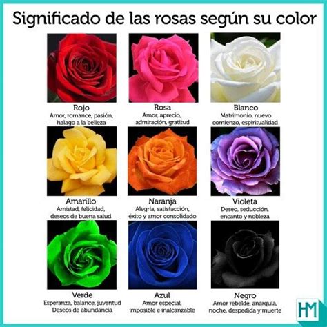 The Different Colors Of Roses Are Shown In This Poster Which Includes