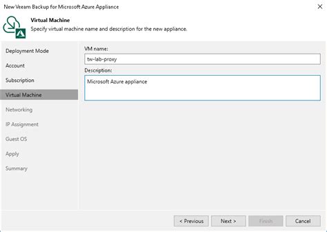 Step 5 Specify VM Instance Name And Description Veeam Backup For