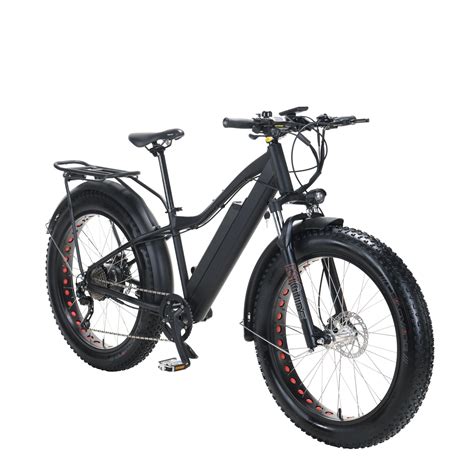 Lithium Battery CE Approved Electric Bicycle 500W 48V Fat Tire Ebike