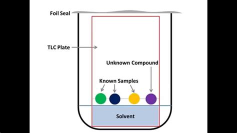 Seb115 Chromatography Animation Youtube