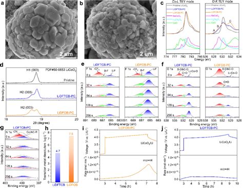 Characterization Of Cathode Electrolyte Interfaces Typical Sem Images