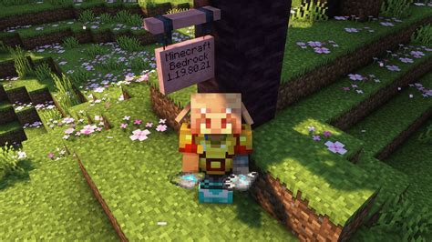 Minecraft Bedrock Armor