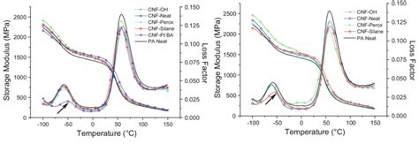 Dmta Curves Of Pa12 Nanocomposites Comparison Of All Surface Treatments