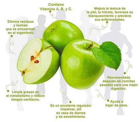 8 Beneficios De Comer Manzana Verde 1 Posee Antioxidantes Esta