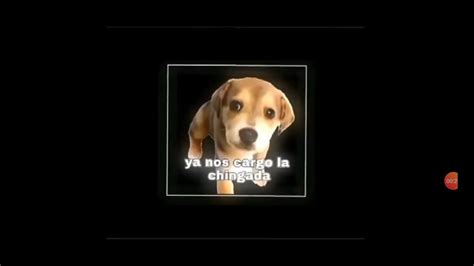 Ya Nos Cargo La Chingada Perro Meme YouTube