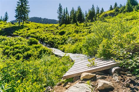 Stevens Pass Summer Update 7 15 22 Pure Pnw Blog