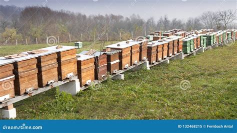 Farm Of Beehive In Sic Village Transylvania Romania Stock Photo