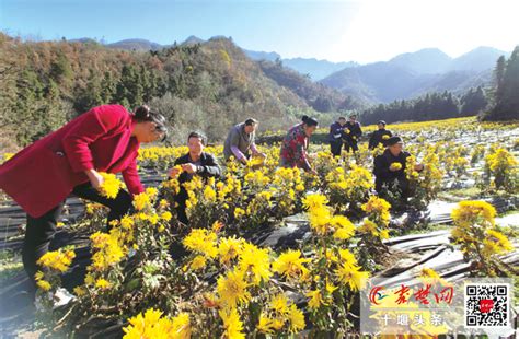 “影像回眸·我们这十年”系列报道⑩从脱贫攻坚到乡村振兴十堰新闻中心长江网cjncn