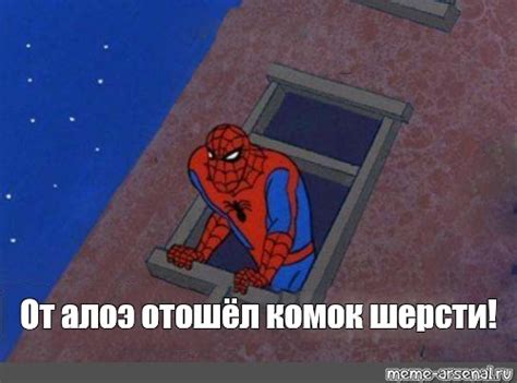 Мем: "От алоэ отошёл комок шерсти!" - Все шаблоны - Meme-arsenal.com