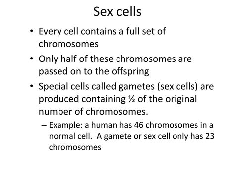 Ppt Chromosomes Powerpoint Presentation Free Download Id9408921