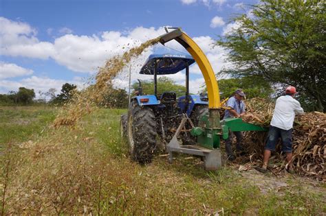 Caruaru é a primeira cidade em Pernambuco que adquiriu o registro no