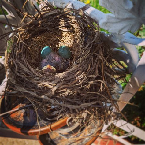 Applicants are reacting to the new mailman starting pay figures 28