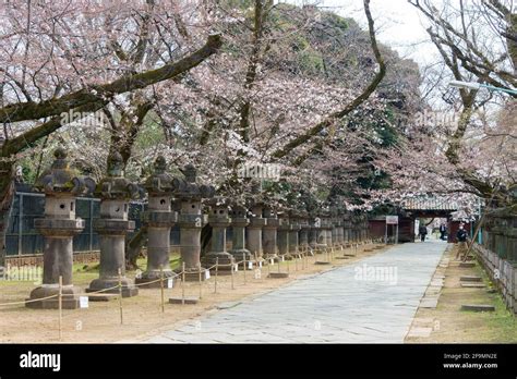 Enfoque En El Santuario Ueno Toshogu En Ueno Park Tokio Jap N Un