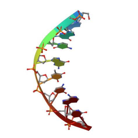 Rcsb Pdb Dqh Crystal Structure Of Human Dna Polymerase Eta