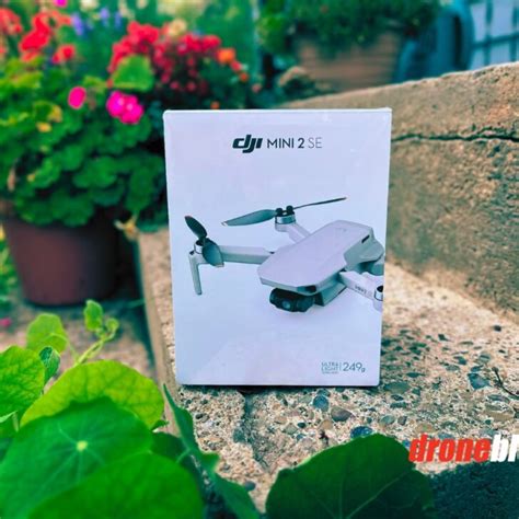Is The Dji Mini 2 Se Worth It Droneblog