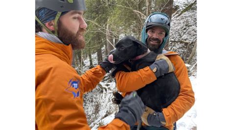 Dog Rescued After Falling From Cliff At Pictured Rocks In Michigans Up