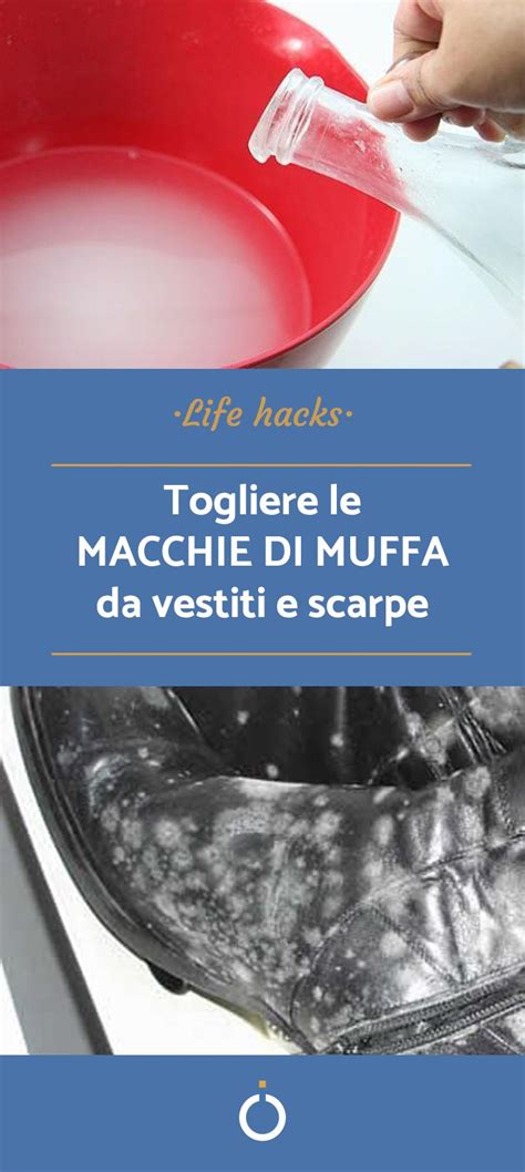 Come Togliere Le Macchie Di Muffa Dai Vestiti Passi Rimedi