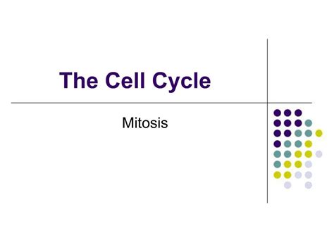 Ppt The Cell Cycle Powerpoint Presentation Free Download Id382586