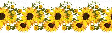 Sunflower Border Flowers Png